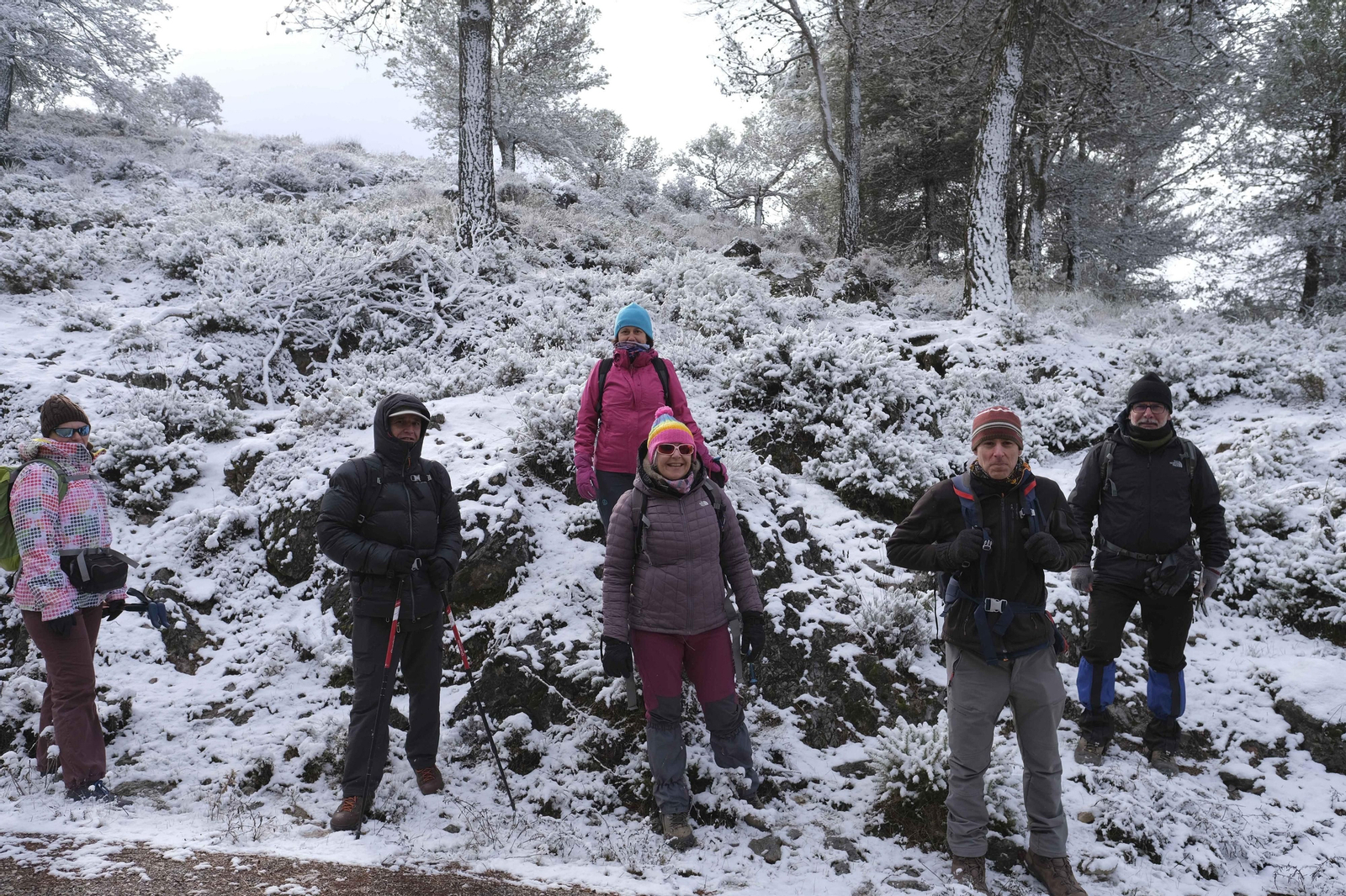 Nevada en la Serranía de Ronda, en fotos.