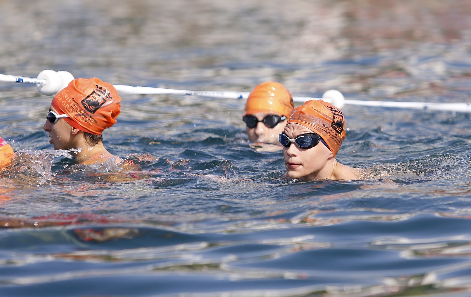 Fotos de la 60ª Travesía a Nado del Puerto de Málaga