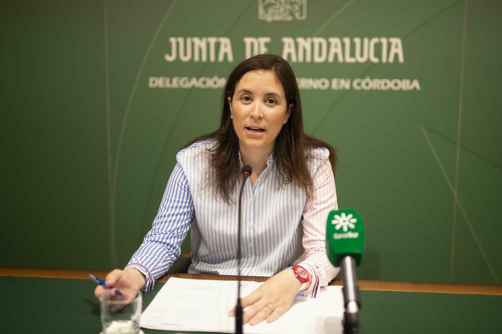 La delegada de Fomento e Infraestructuras, Cristina Casanueva.