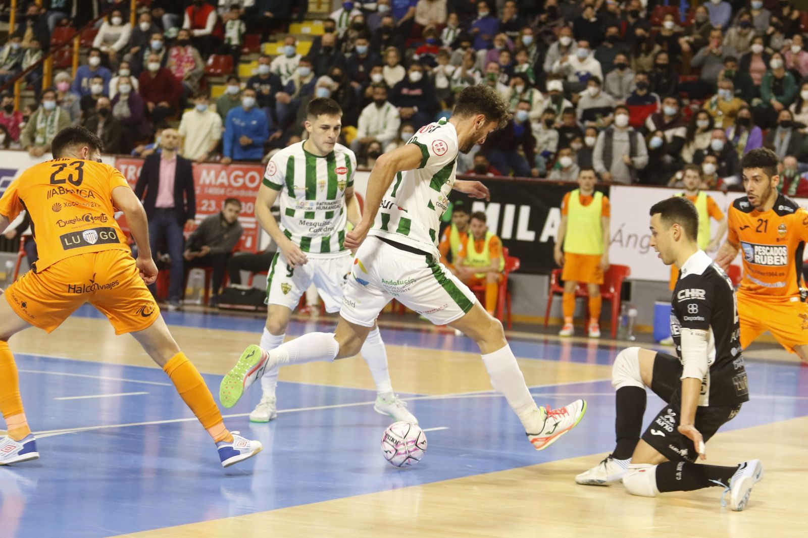 Las imágenes de la victoria del Córdoba Futsal ante el Burela