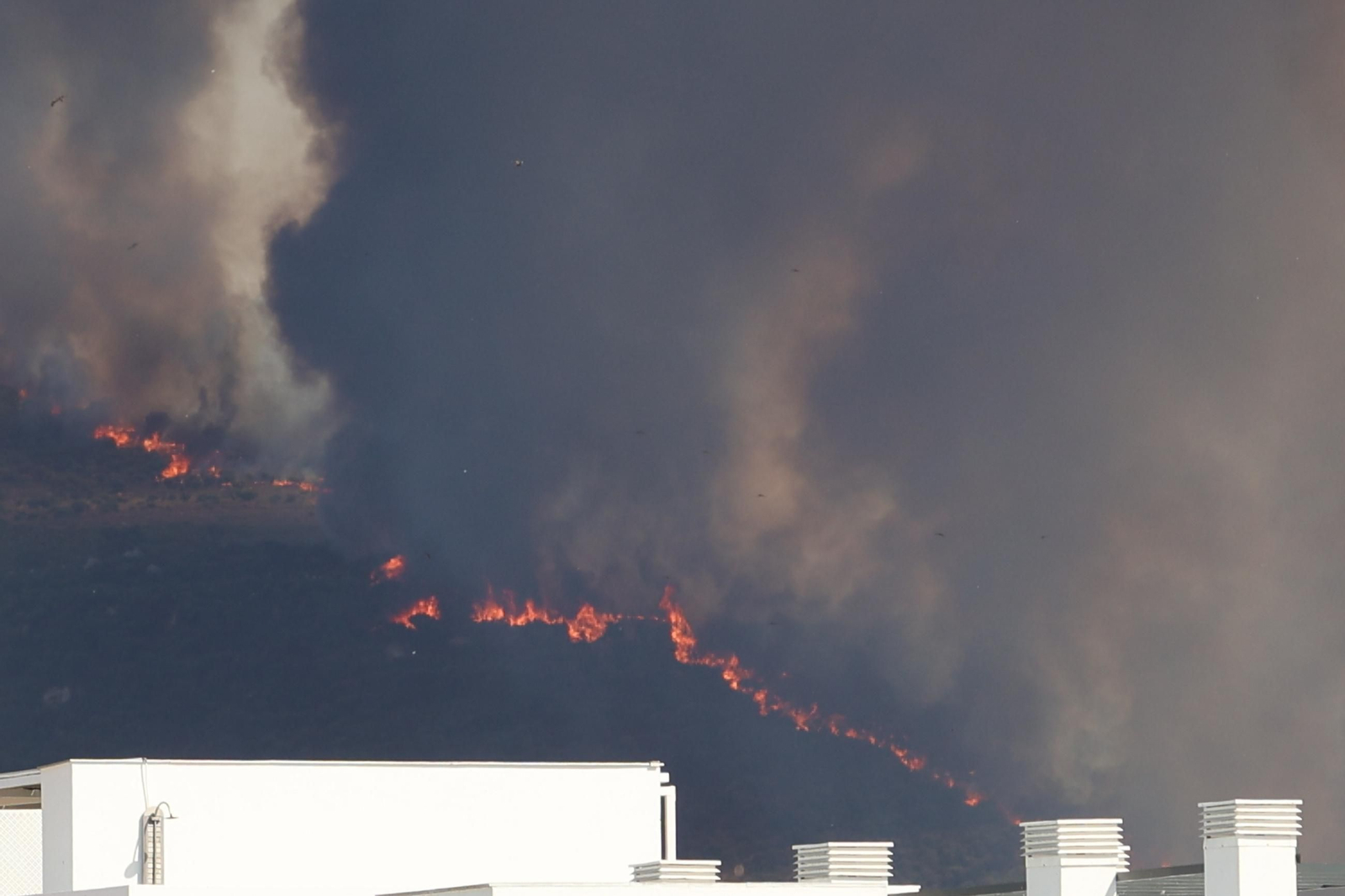 Imágenes del incendio de Tarifa, el segundo en menos de una semana
