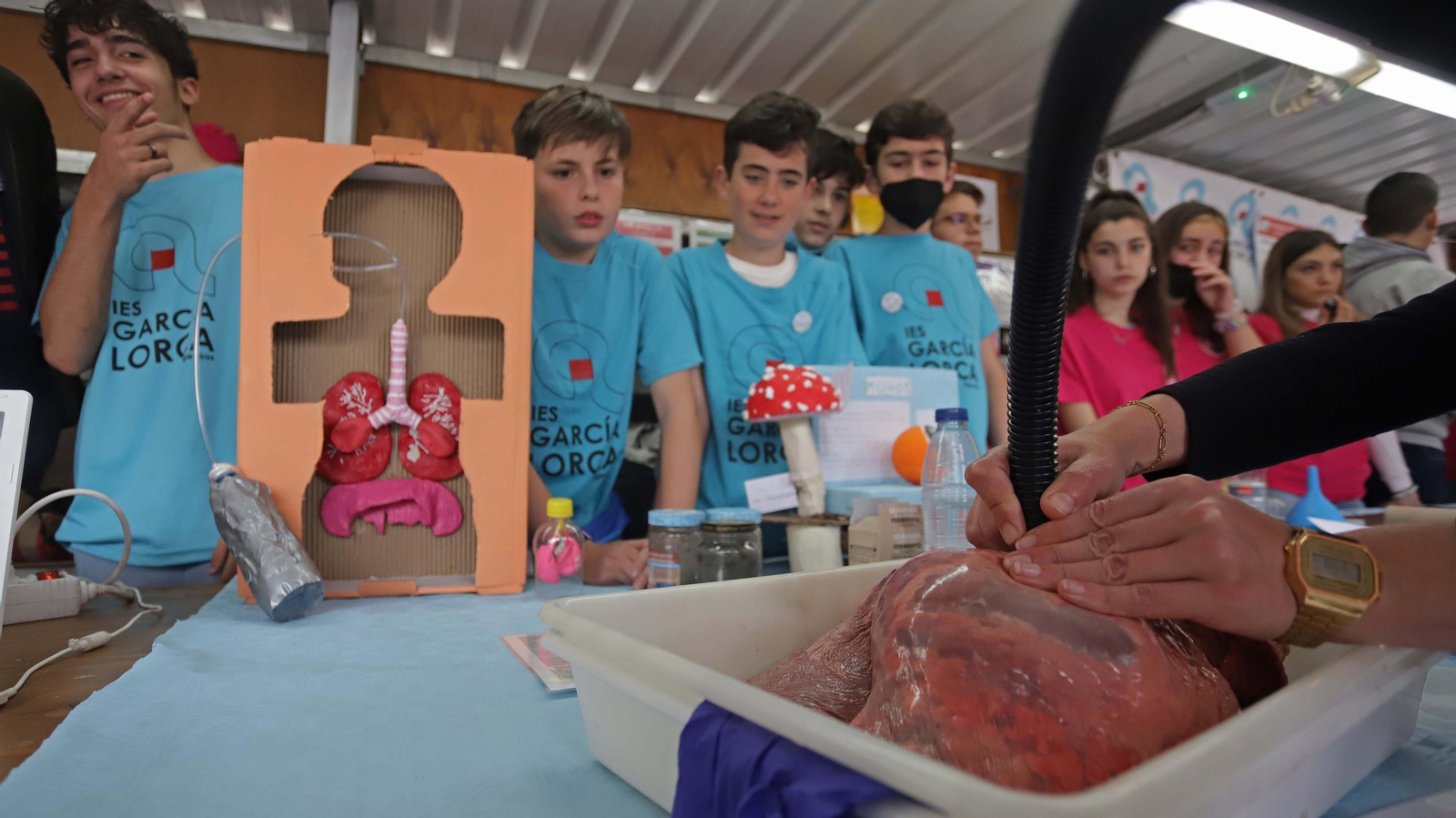 Diverciencia 2022 en Algeciras