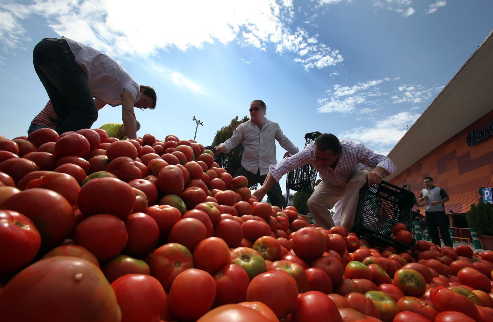 Protestas de productores de tomate, uno de los productos que han tenido diferentes alertas sanitarias.