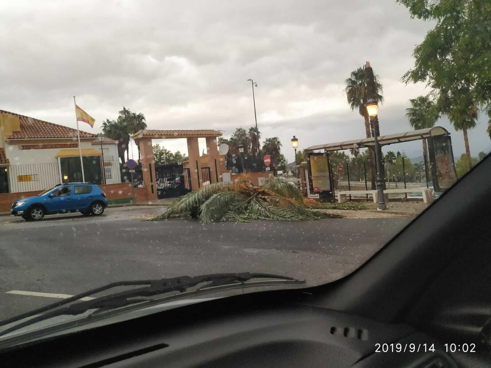 Los efectos de la tormenta en Alhaurín el Grande.