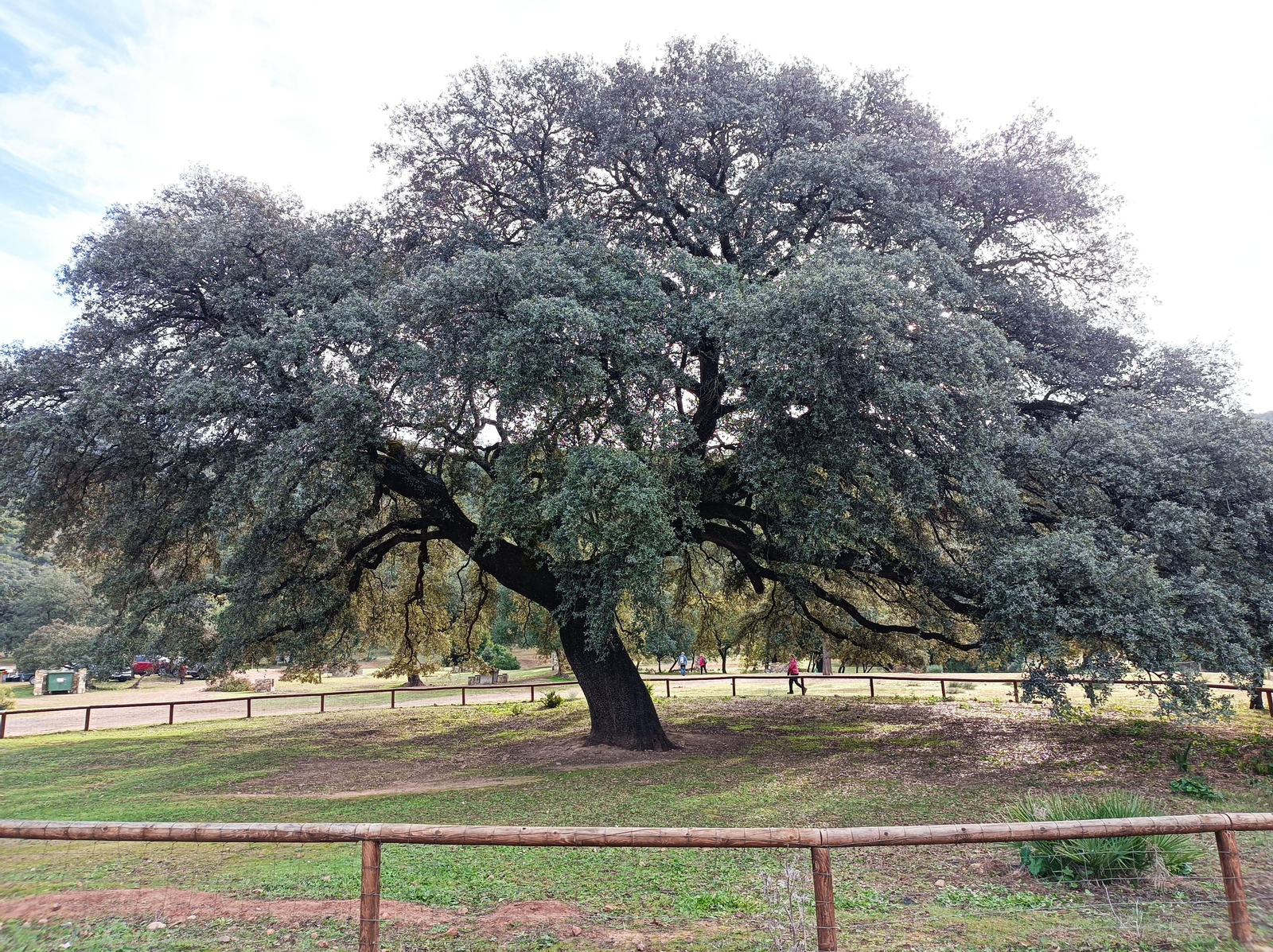 Fotos de la ruta circular de San Pedro, en Coripe