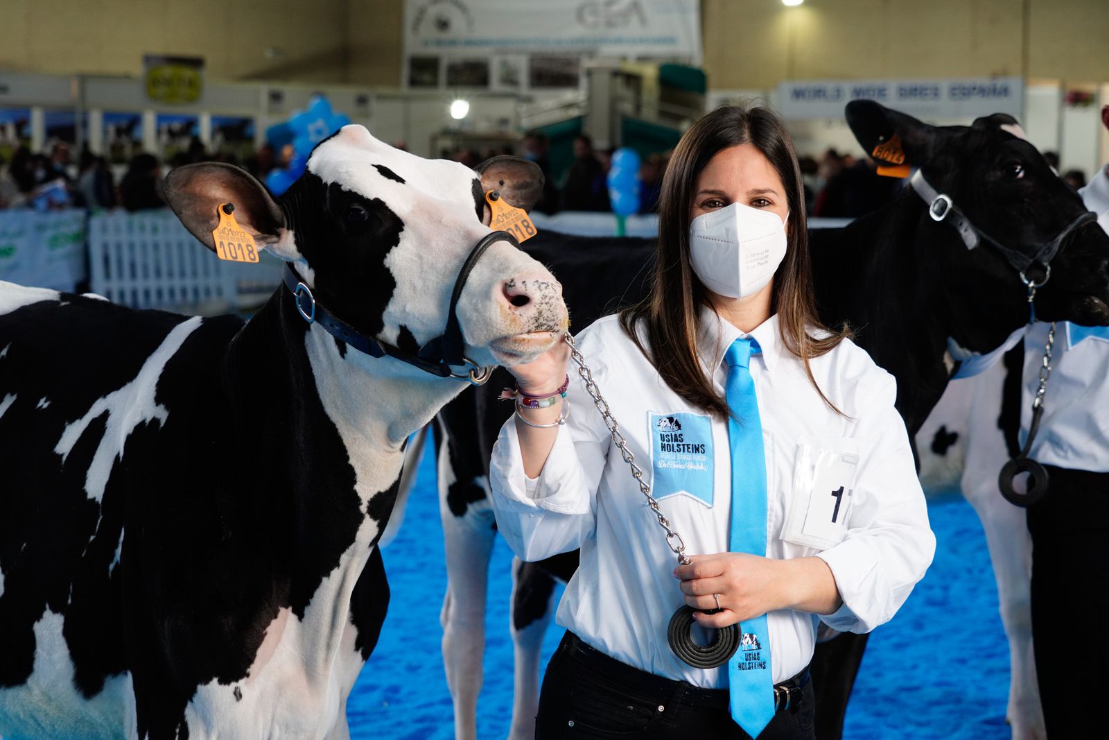 La Feria de Ganado Frisón Usías Holsteins de Dos Torres, en fotografías