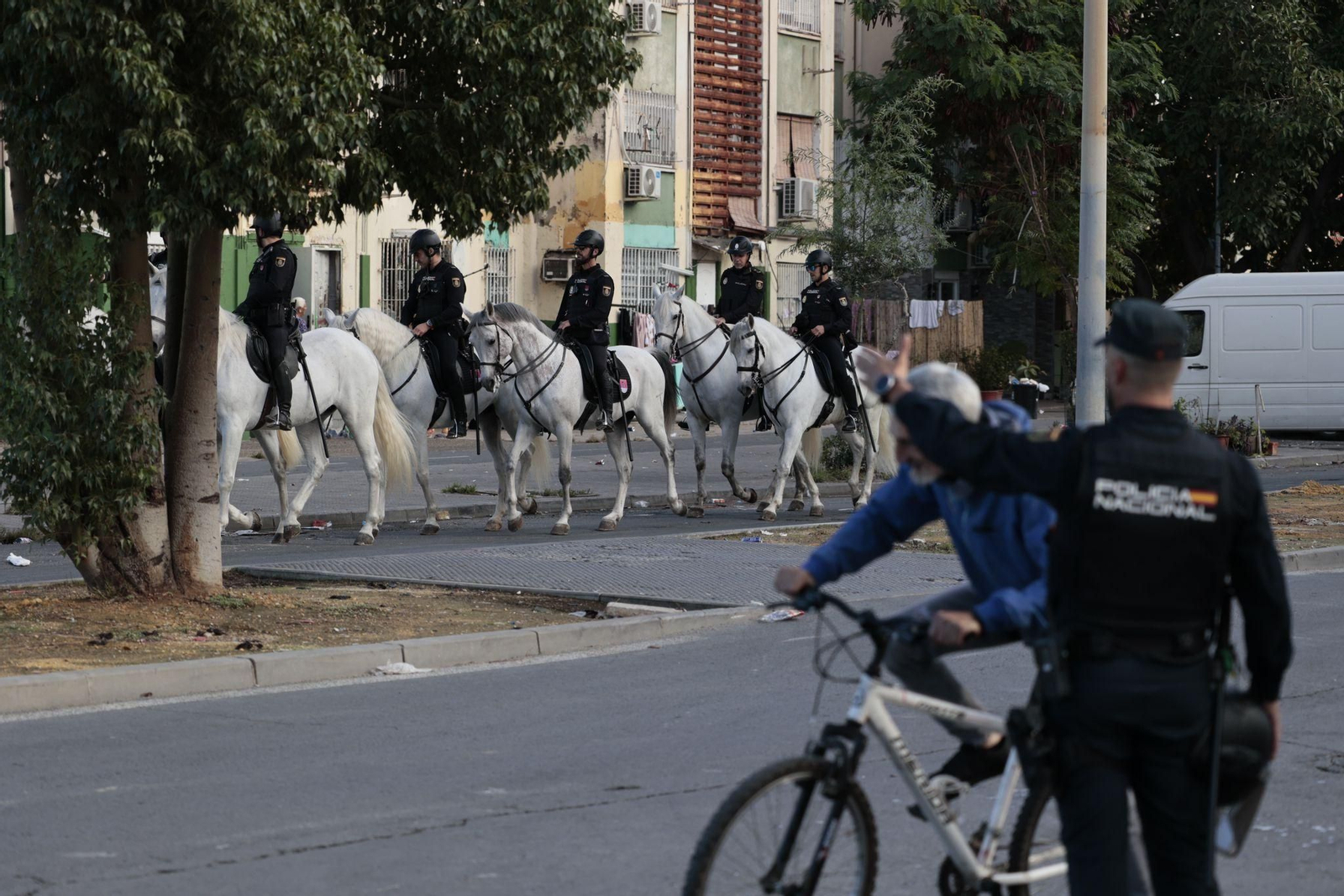 La nueva operación de la Policía Nacional en las Tres Mil Viviendas, en imágenes