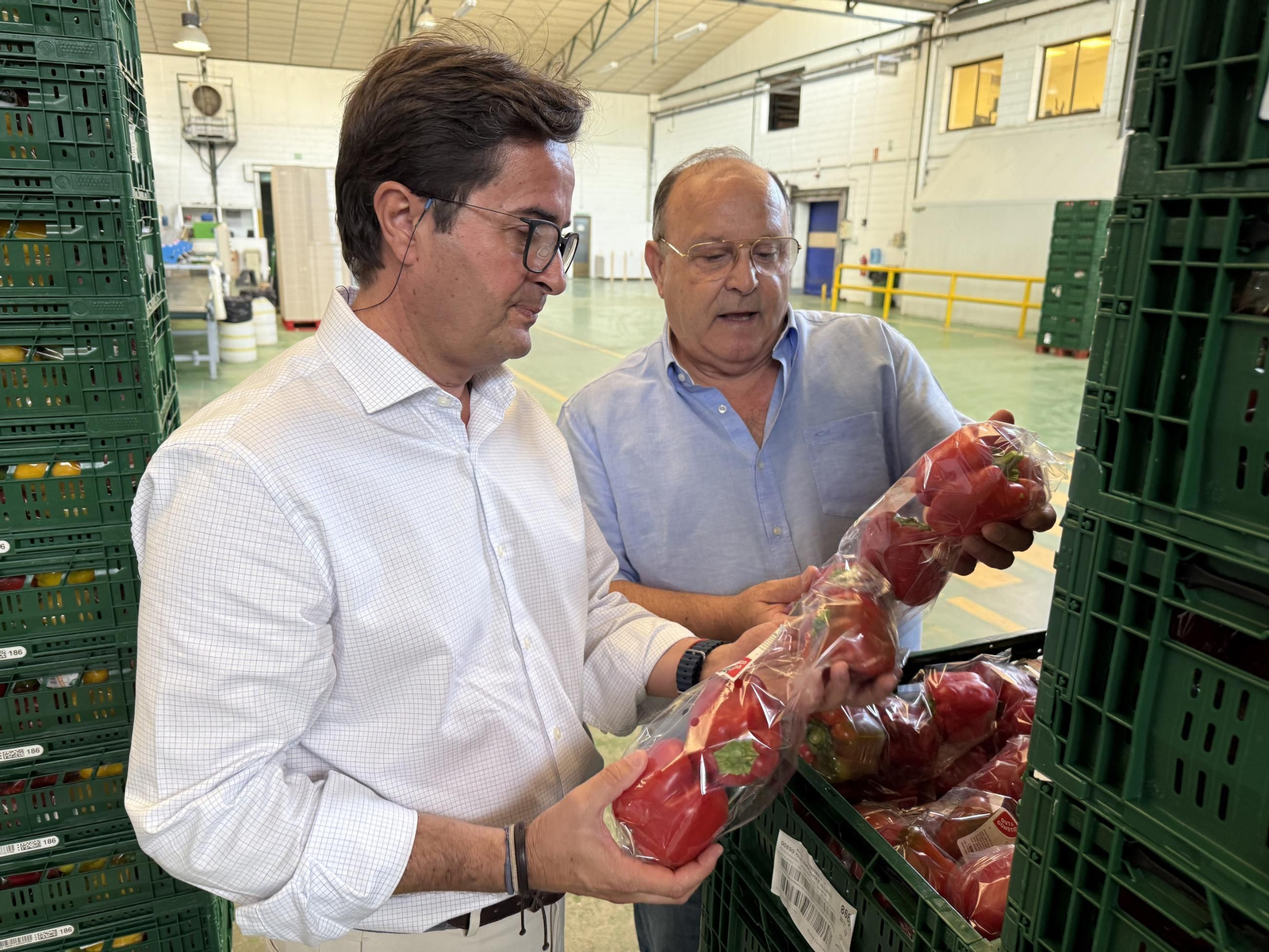 Inicio de la campaña del sector hortofrutícola ejidense.