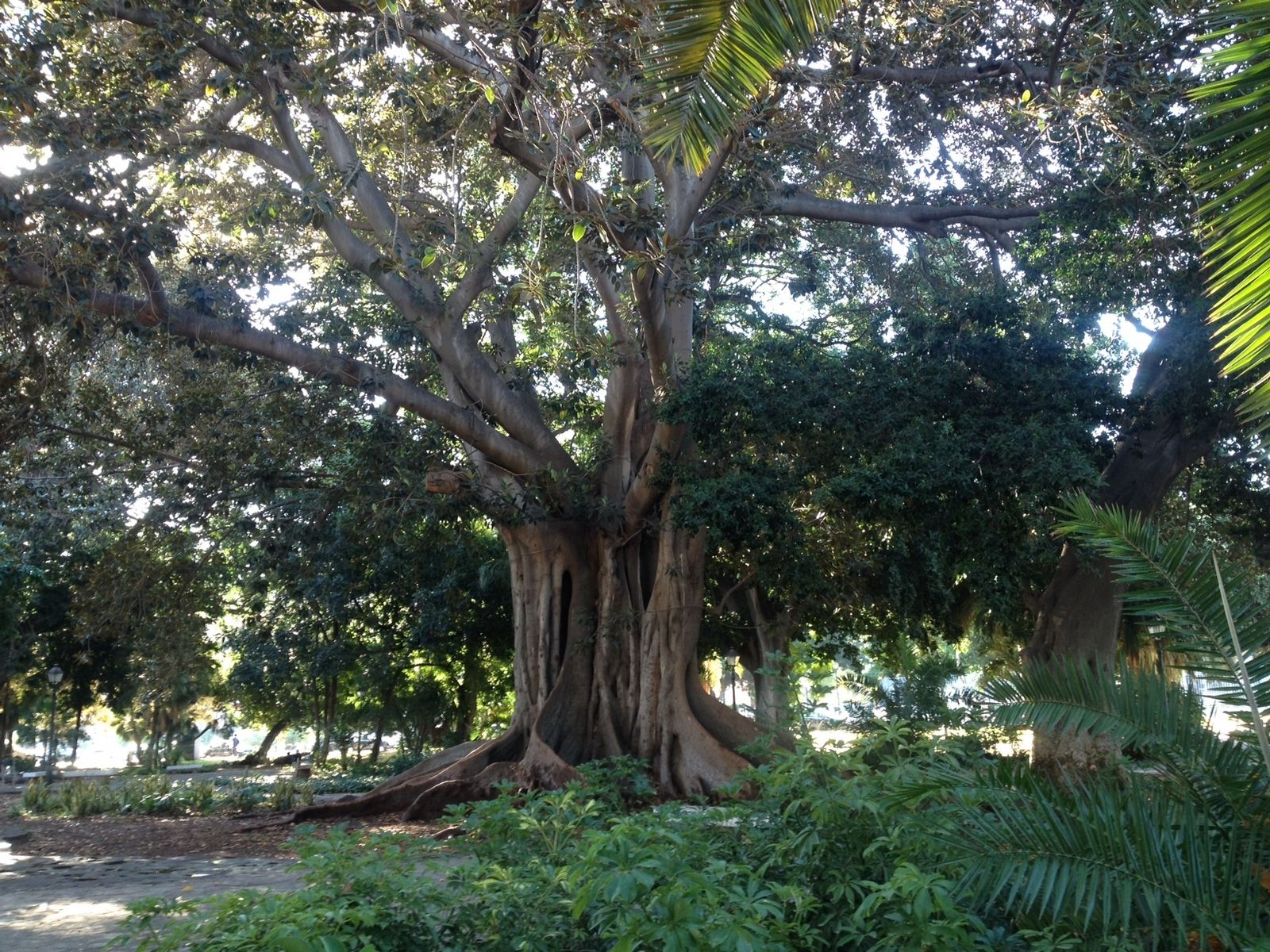 Los Jardines de Picasso de la capital.