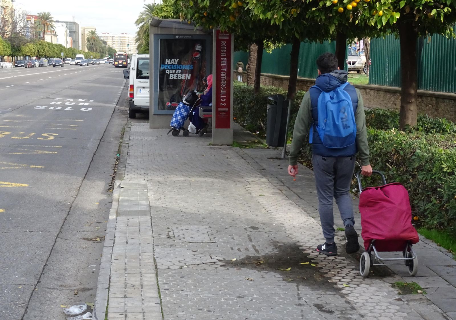 El lugar en el que se cayó la mujer, en la Ronda del Tamarguillo.