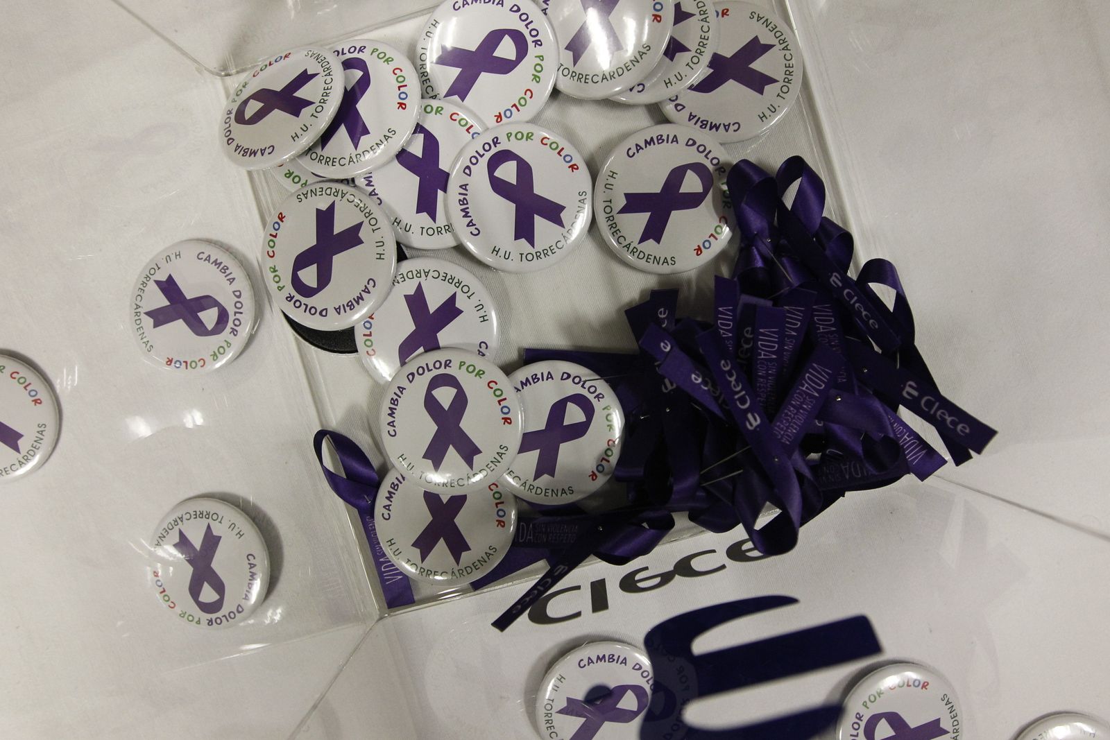 Actos Día Mundial contra la Violencia de Género. Almería