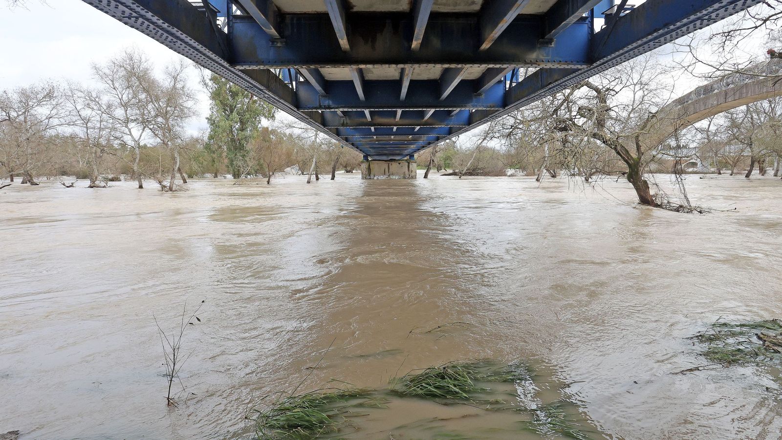 El Guadalete comienza a bajar su nivel poco a poco por la zona rural de Jerez