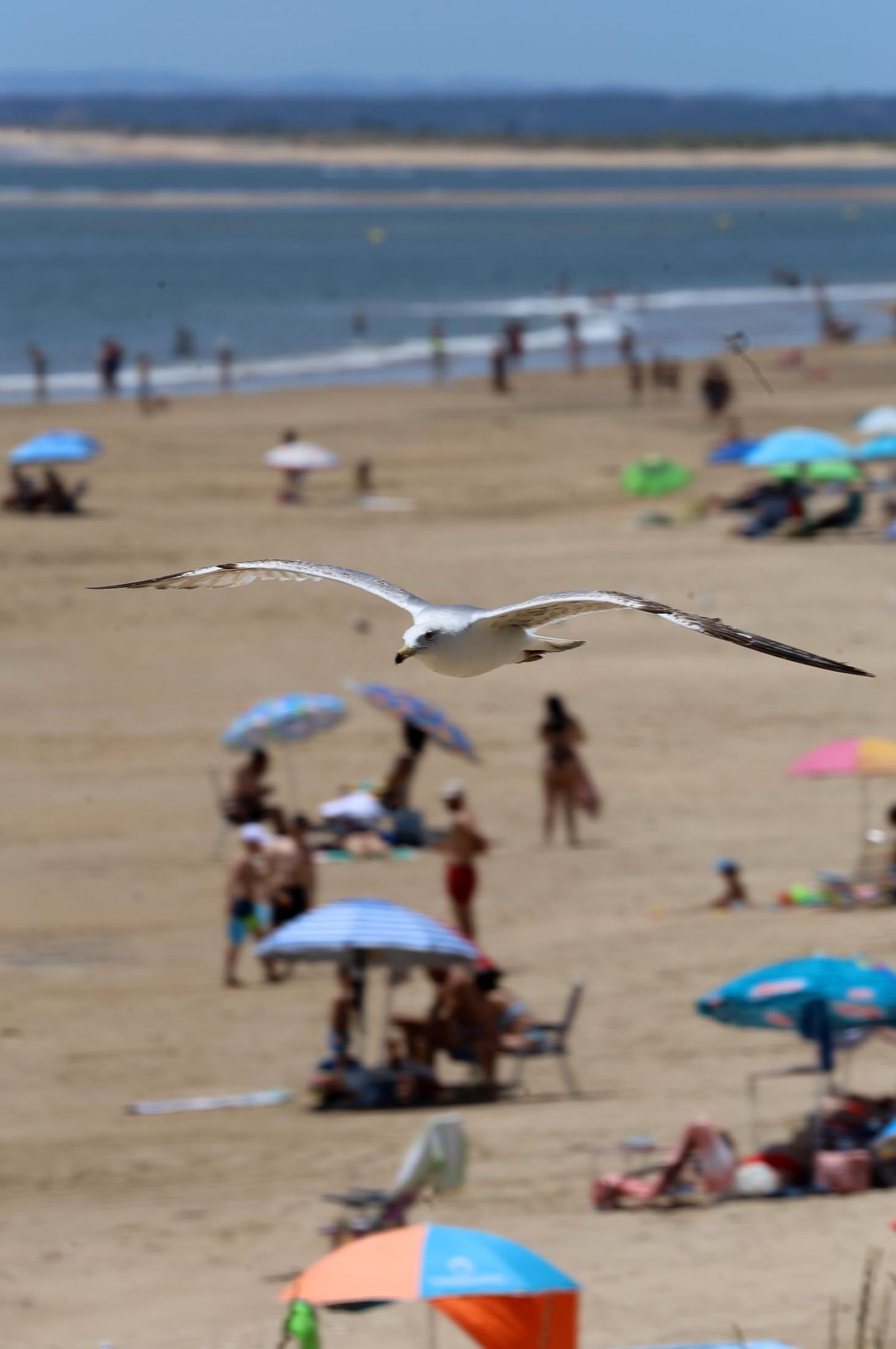 Imágenes del ambiente en las playas de Matalascañas, La Bota y Mazagón durante la mañana del domingo