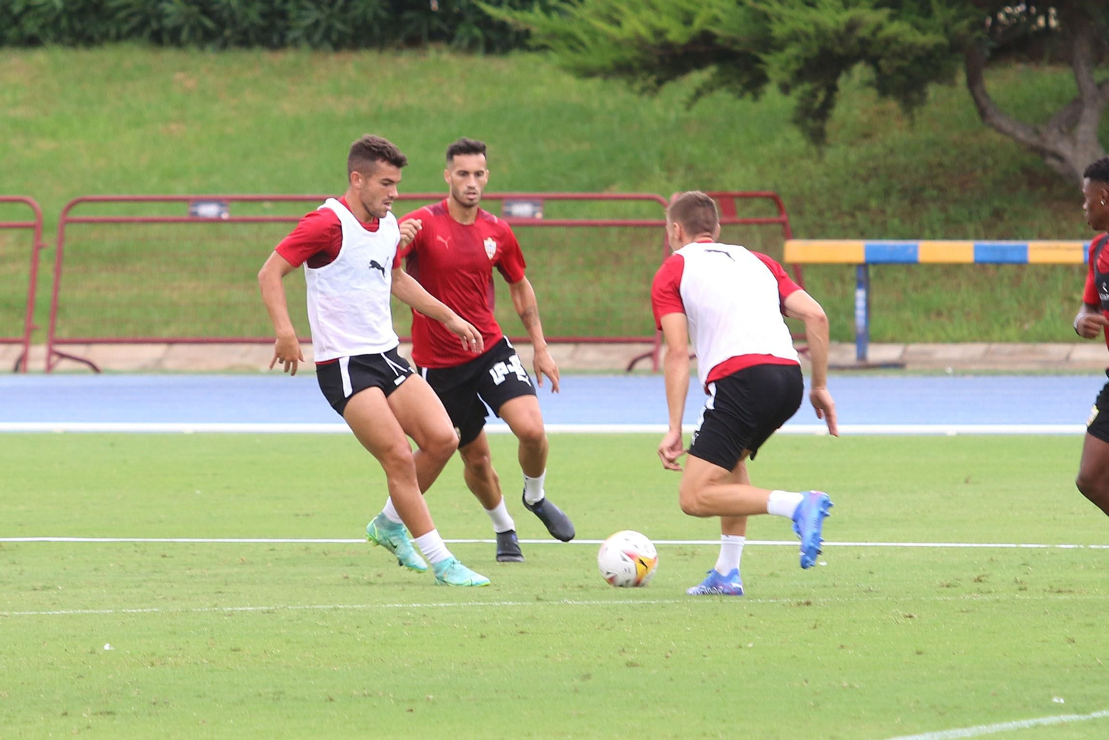 Fotogalería del entrenamiento de la UD Almería del miércoles 11 de agosto