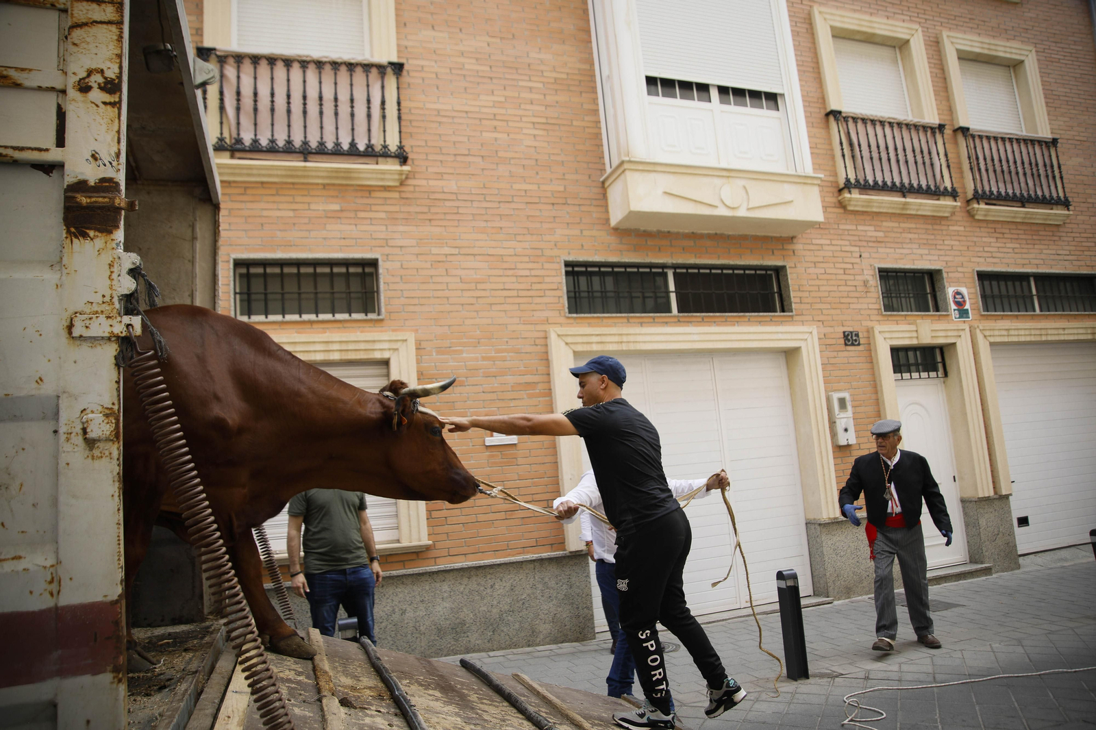 Imágenes de la salida  del Rocío desde la Catedral de Almería
