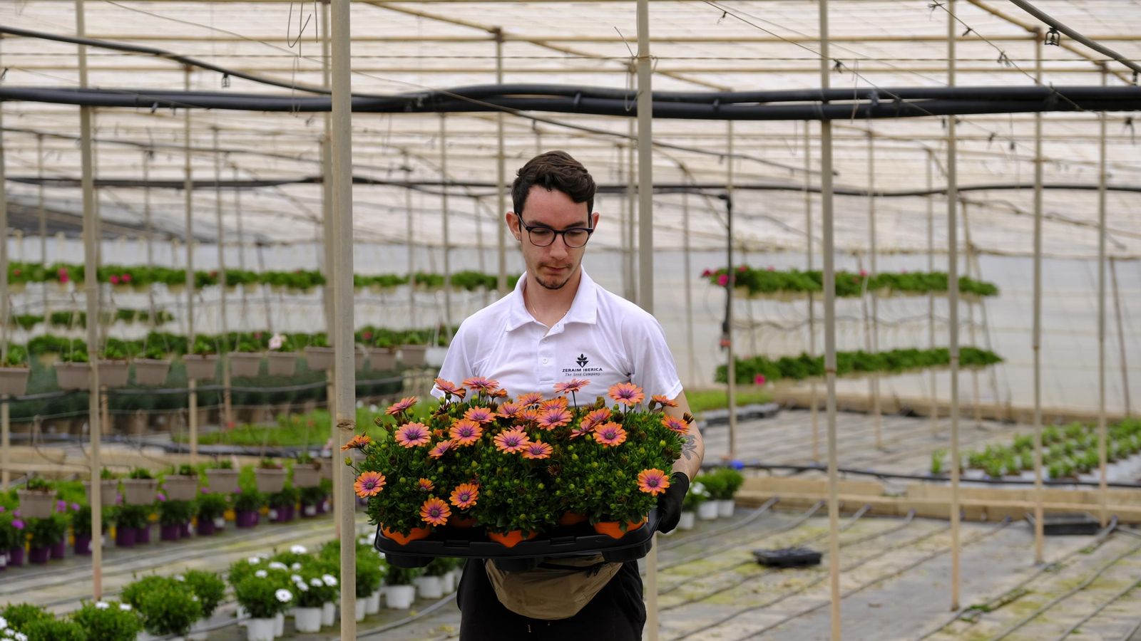 El principal destinatario de las flores de Almería es el mercado francés