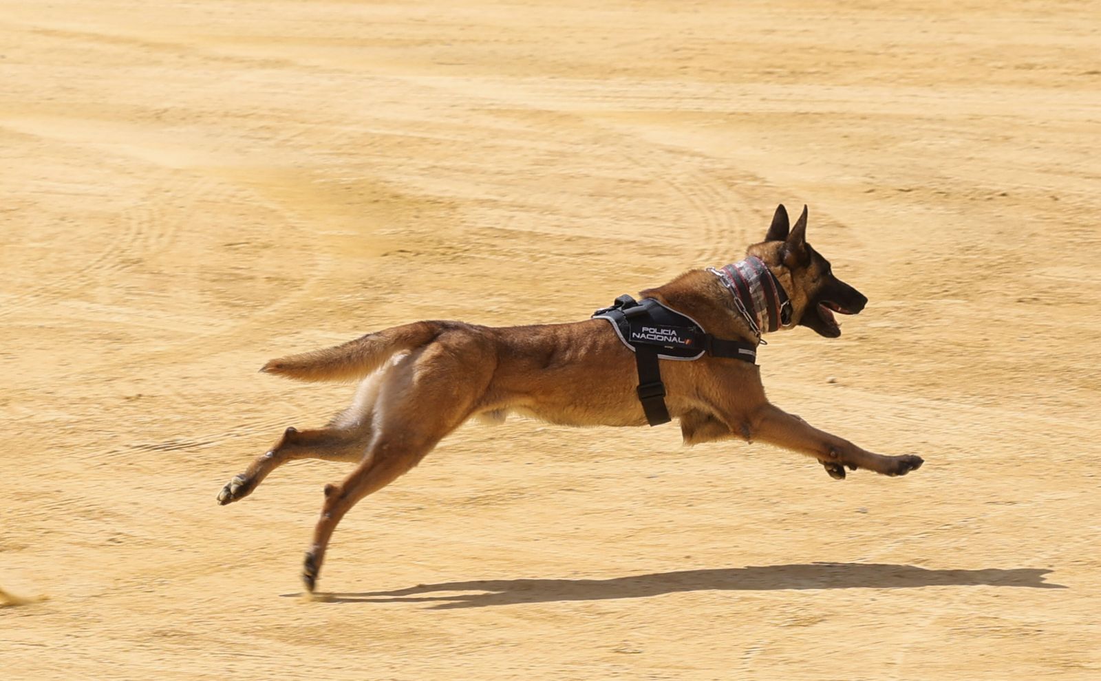 X Encuentro con Escolares de Málaga con la Policía Nacional