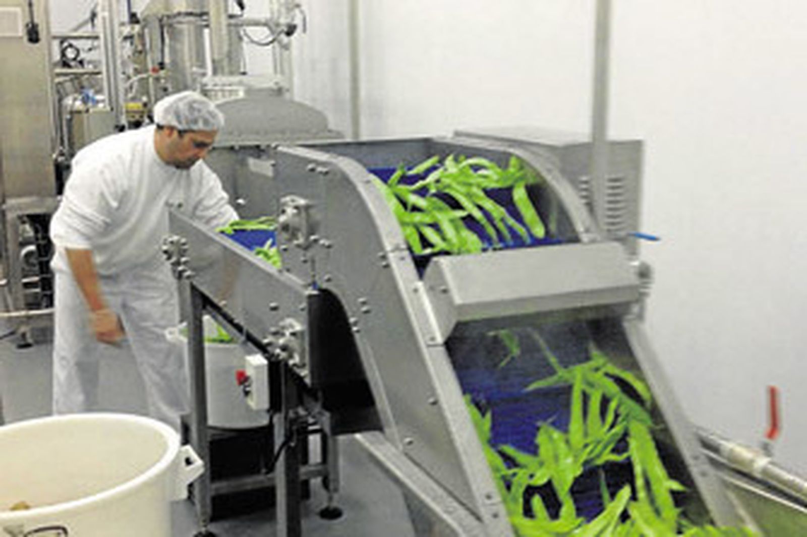 De la huerta al potito de la forma más natural