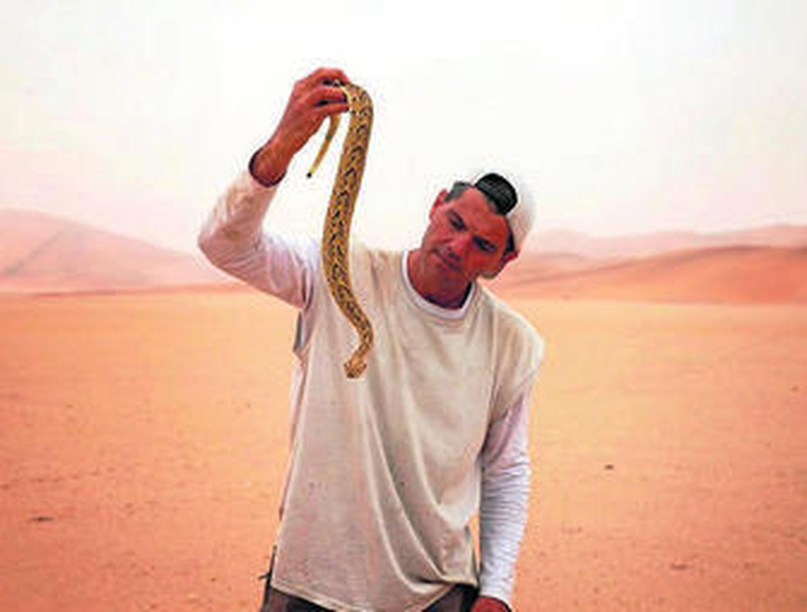 Frank, en la imagen promocional de la segunda temporada de su programa.