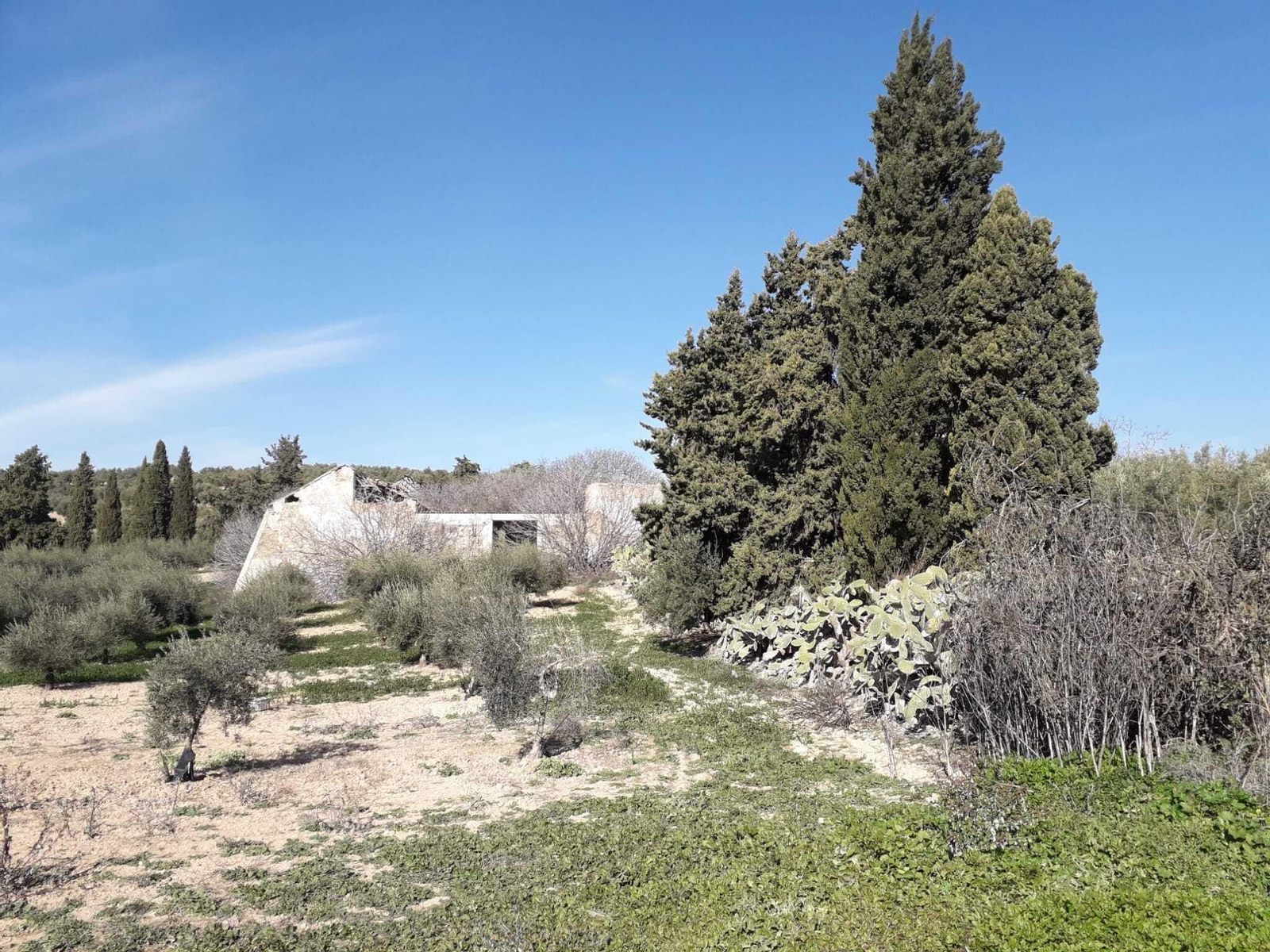 La laguna de Jarata de Montilla, en fotografías