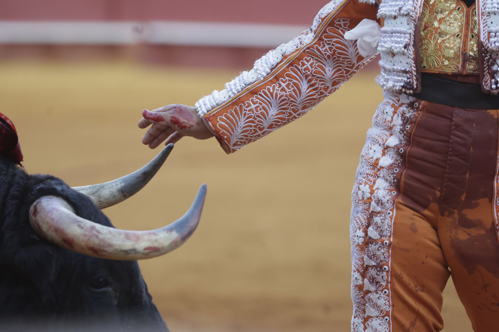 Las imágenes del festejo