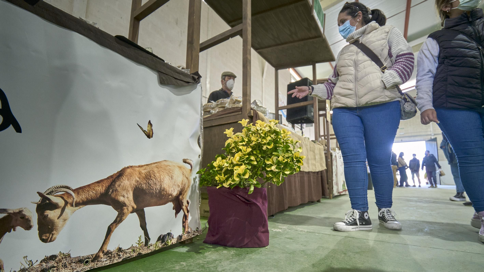 Feria del Queso de Villaluenga.