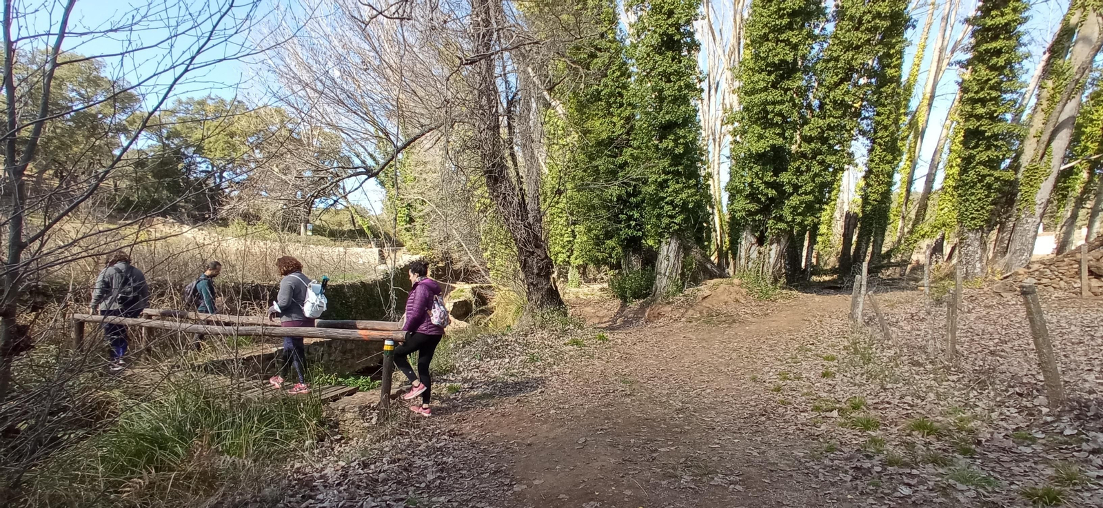 Las imágenes de la ruta de la cascada de Jollarancos y bosque de las letras