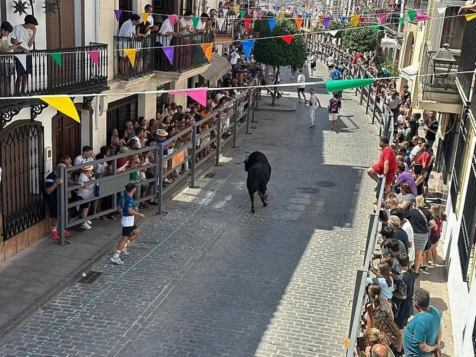 Las imágenes del toro de cuerda de Carcabuey