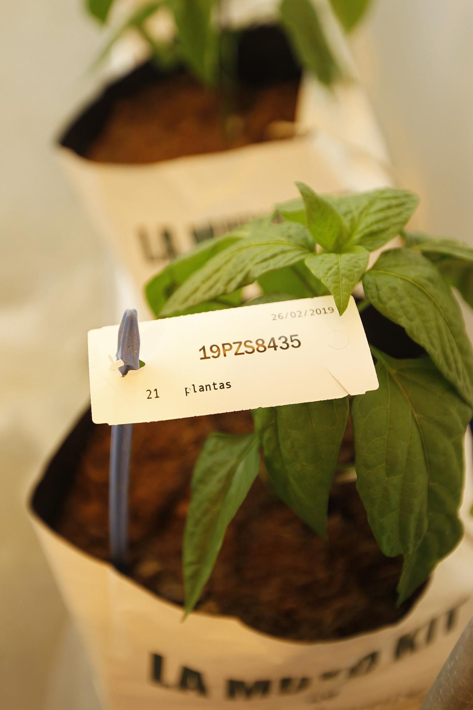 Fotogalería presentación resultados Bayer