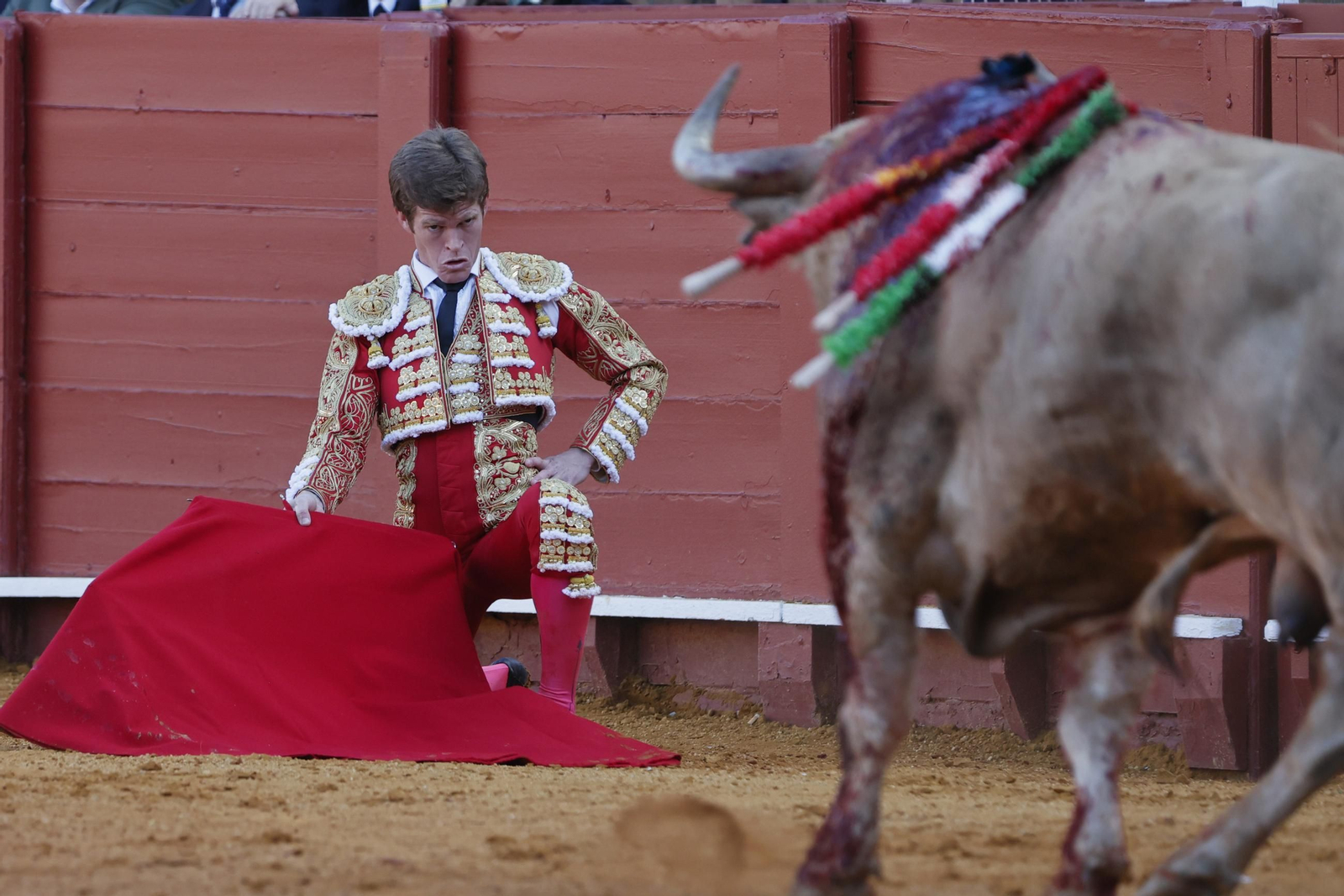 Las imágenes del festejo