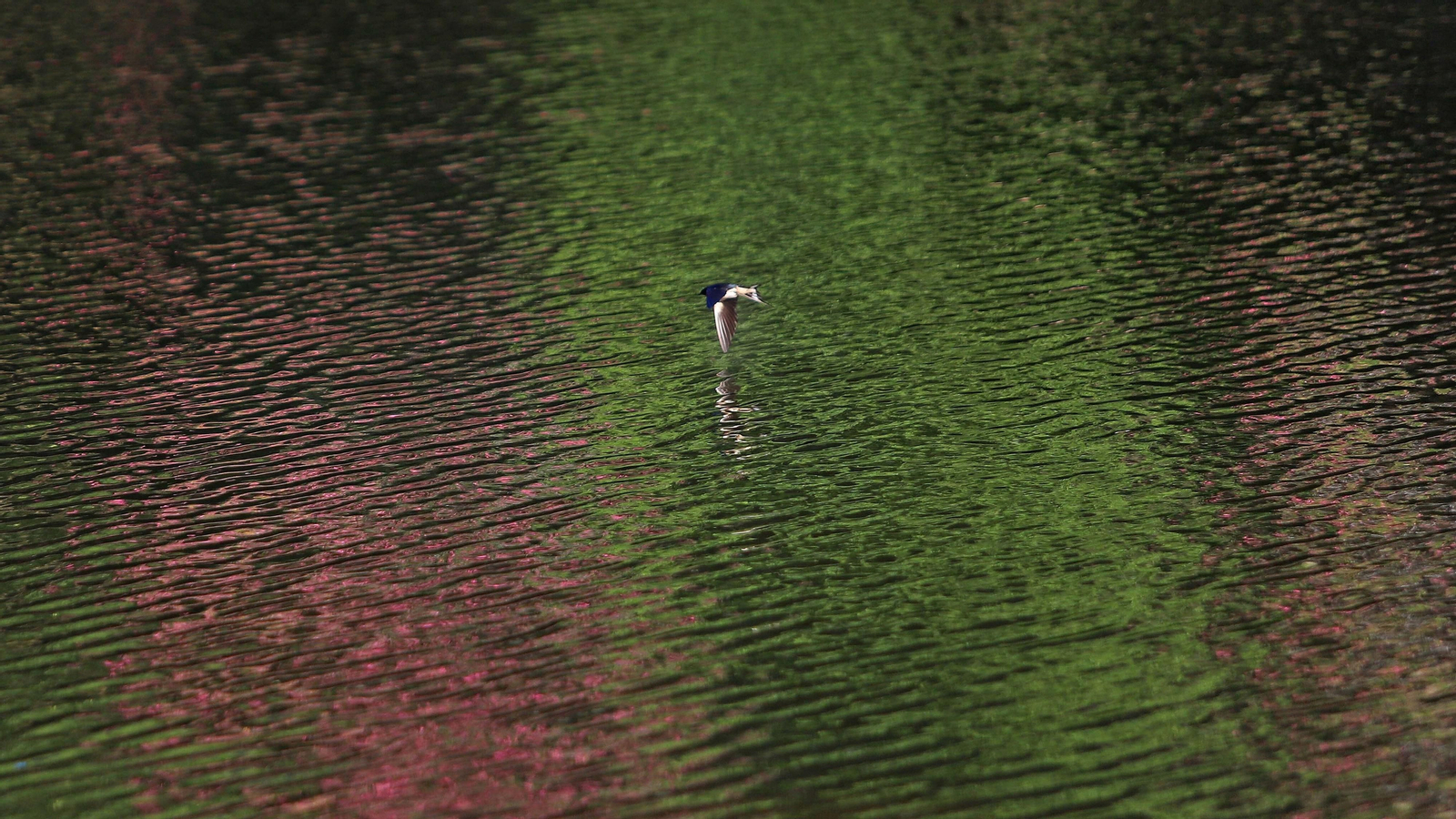 Las mejores fotos del sendero del Río Hozgarganta