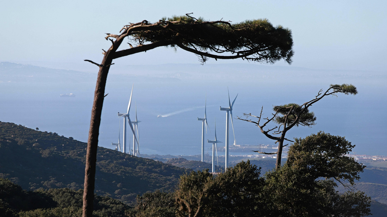 Las mejores fotos del Tajo de las Escobas