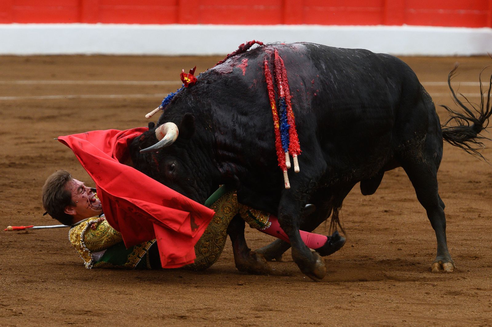 El primer toro de la tarde cogió de manera espeluznante a Dávila Miura, al que corneó en la mandíbula.