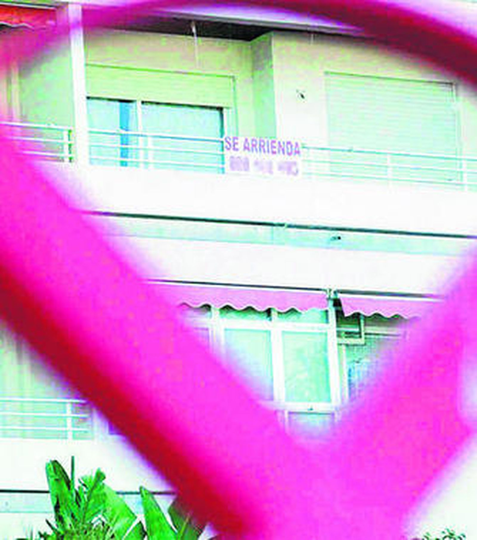 Un cartel anunciando una vivienda en alquiler en Cádiz capital.