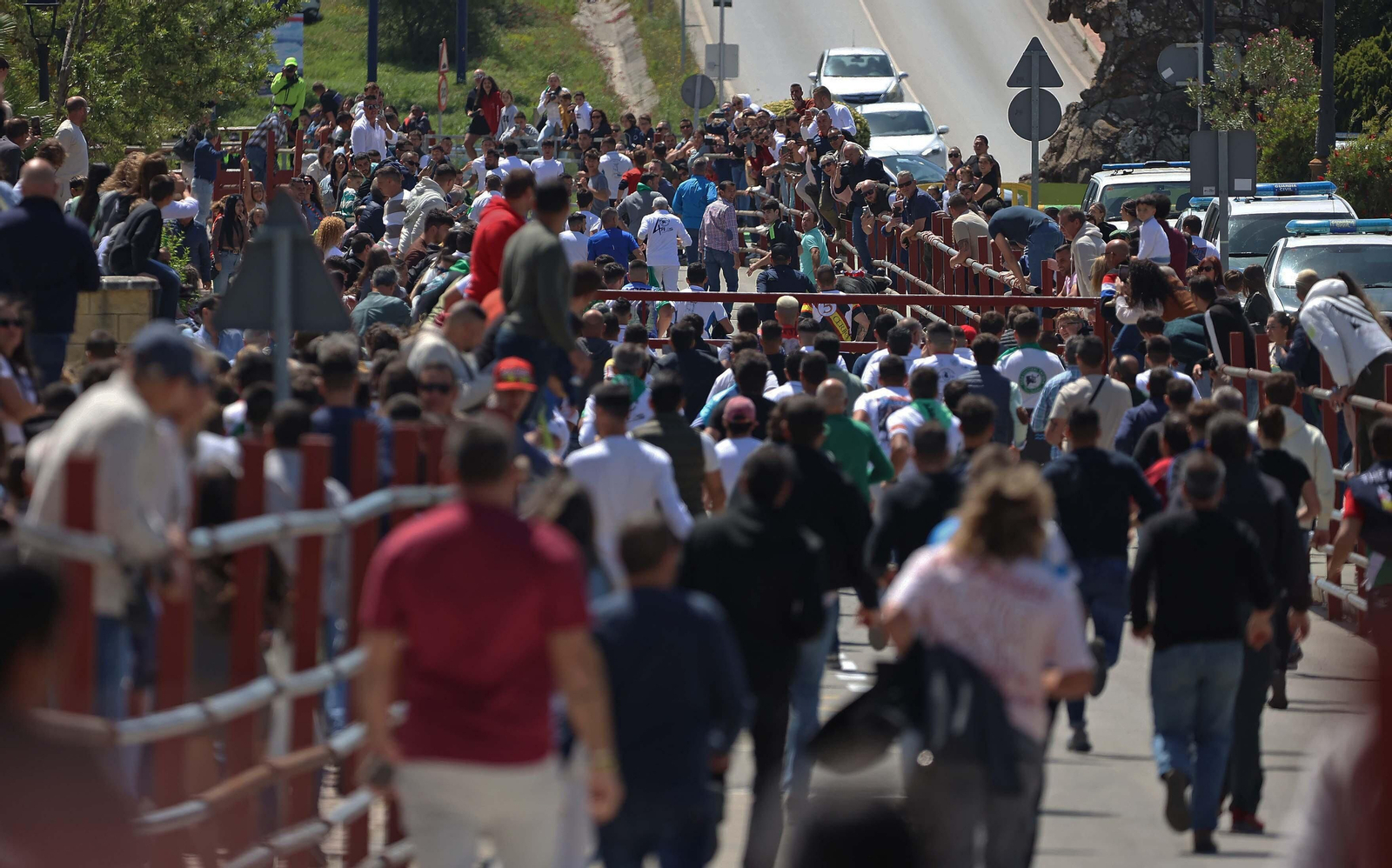 Las mejores fotos del Toro Embolao de Los Barrios 2024