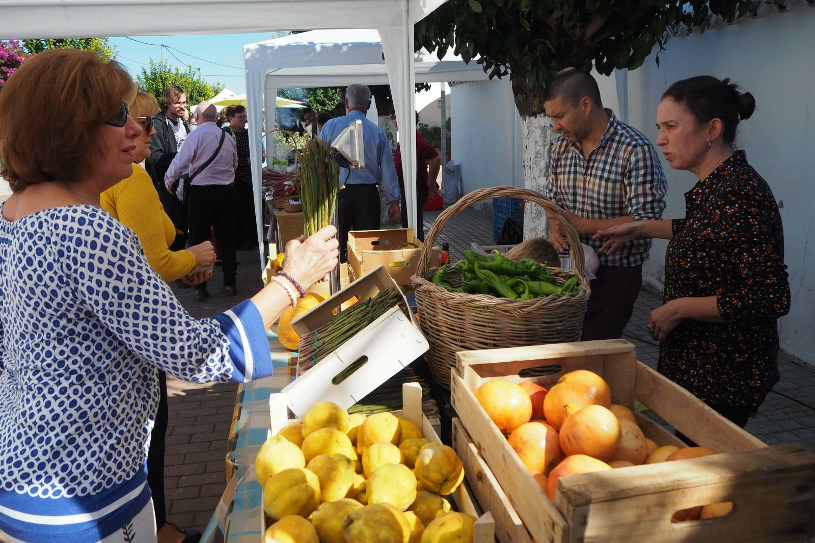 Primera Jornada de Convivencia de Algallarín