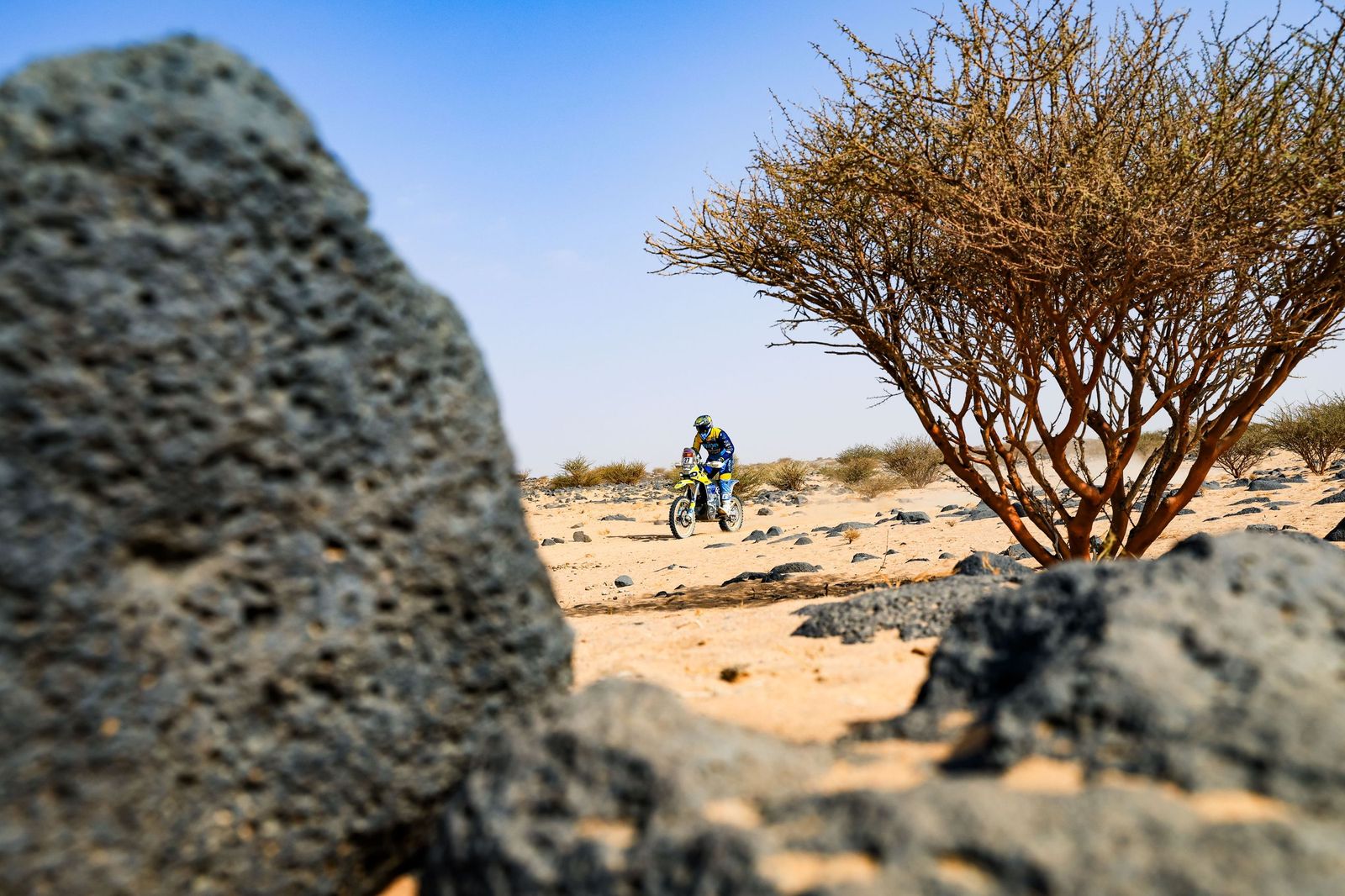 Las mejores fotos del Rally Dakar | undécima etapa