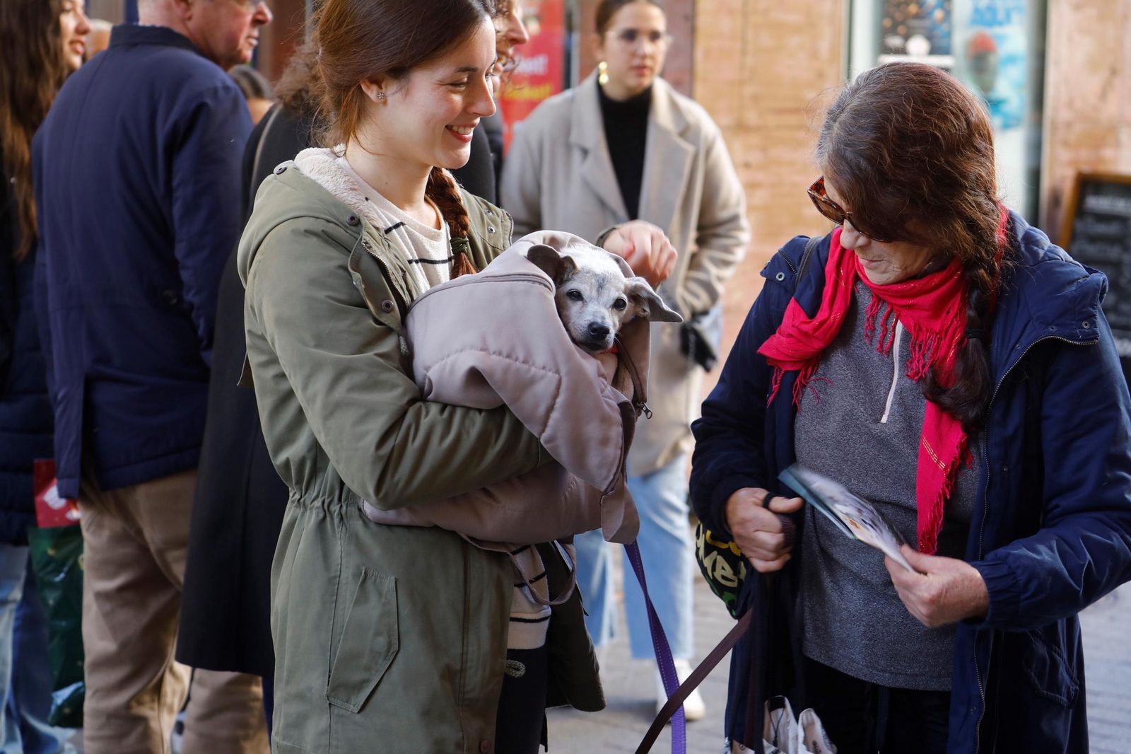 Las mejores imágenes del desfile preadopción de perros y gatos en Córdoba
