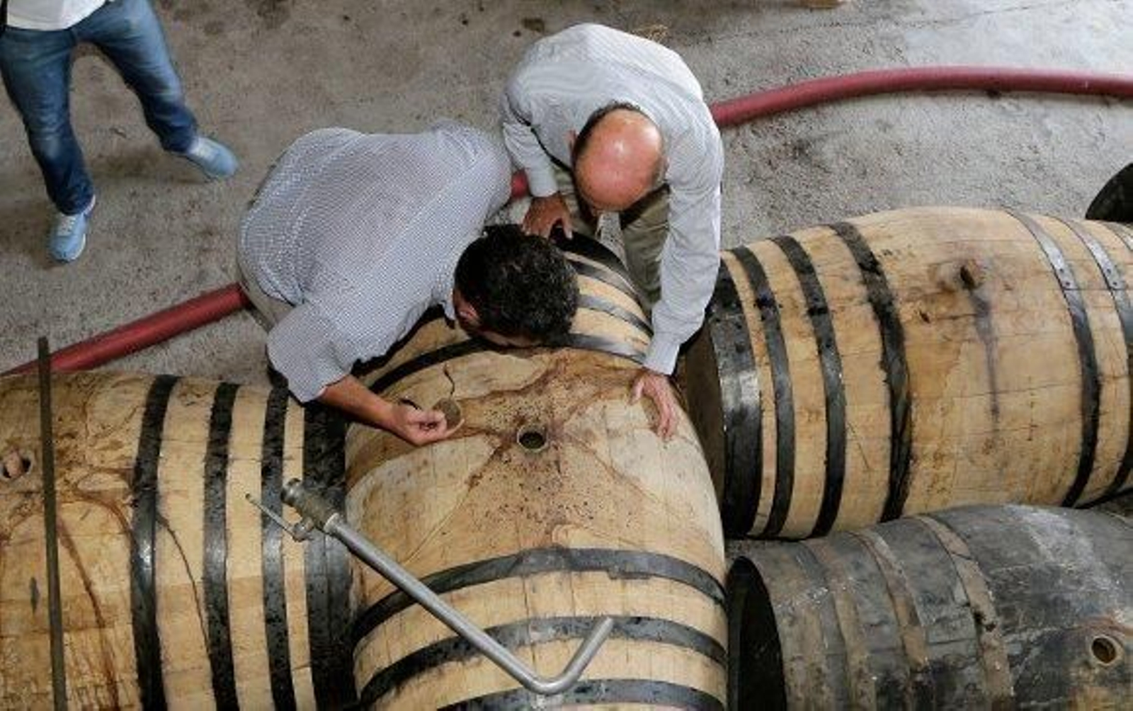 Los sectores emergentes de Jerez