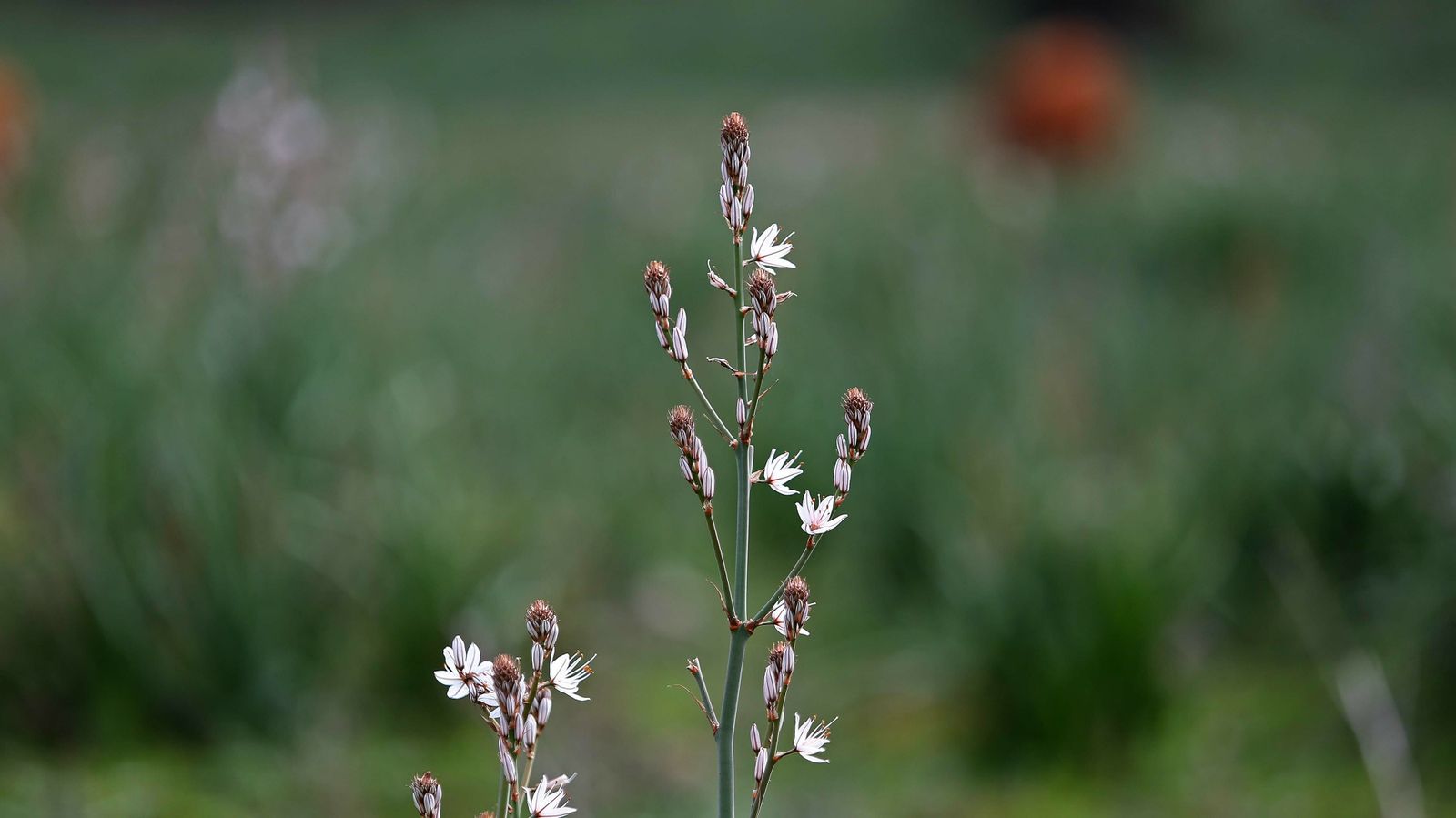 Las mejores fotos del sendero del Río de la Miel