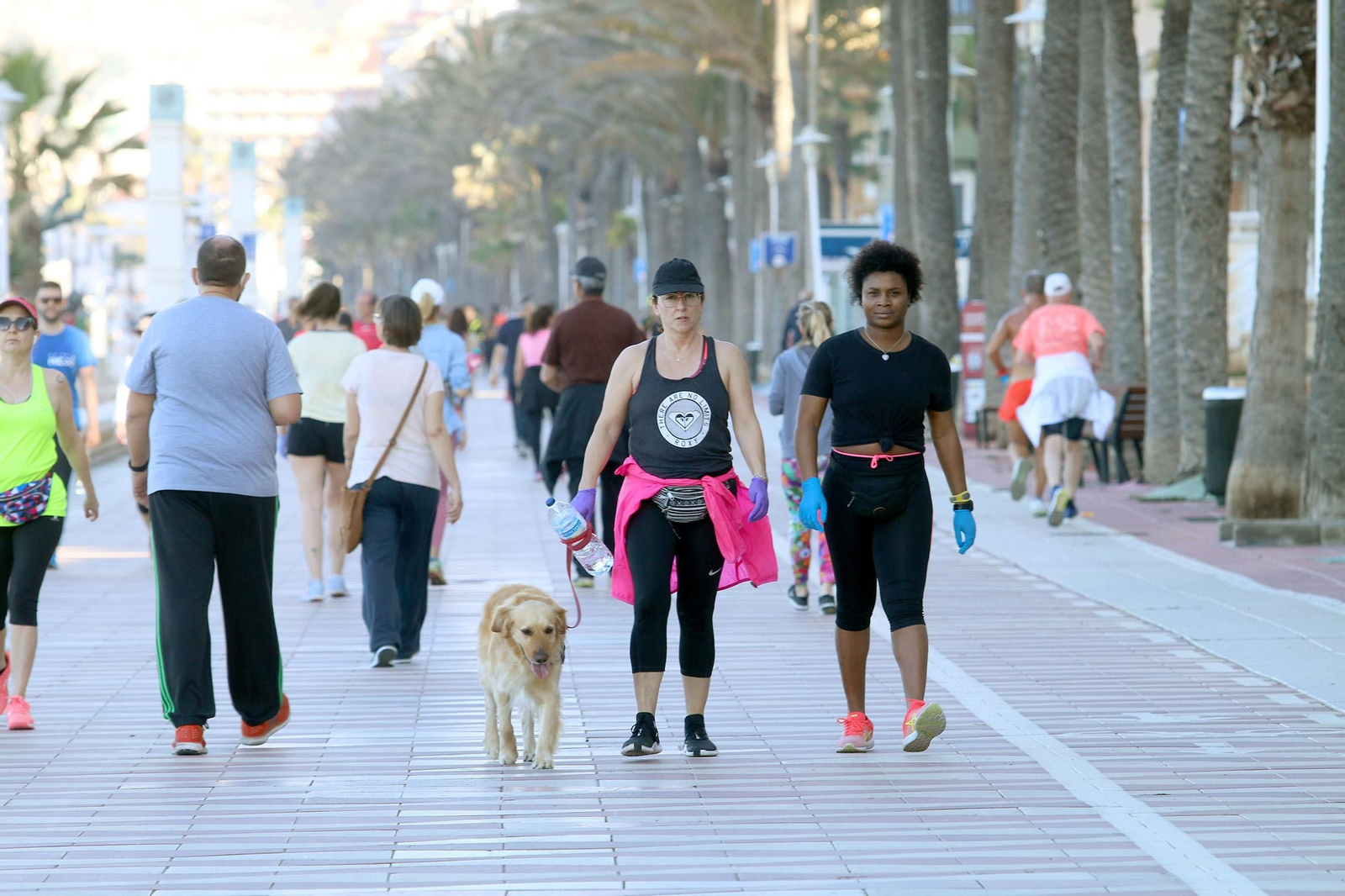 Las imágenes de la afluencia masiva de deportistas al paseo marítimo