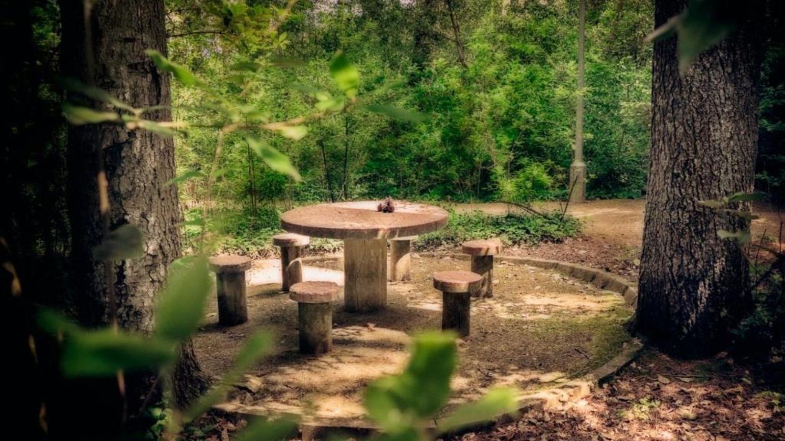 Jardín botánico VillaOnuba