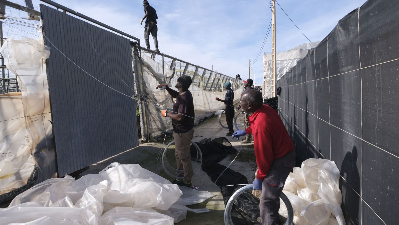 Los efectos del temporal de viento en los invernaderos, en imágenes