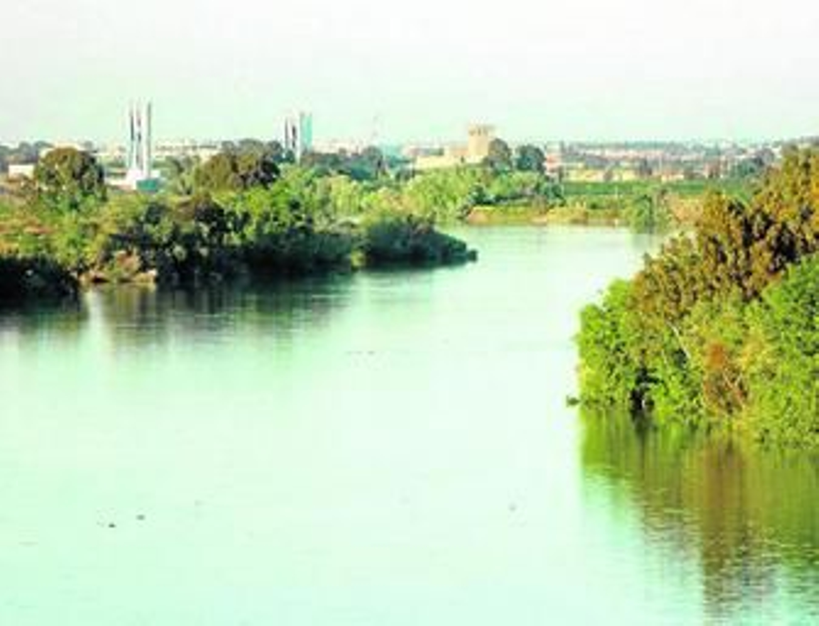 El estuario del Guadalquivir a la altura de Coria del Río.
