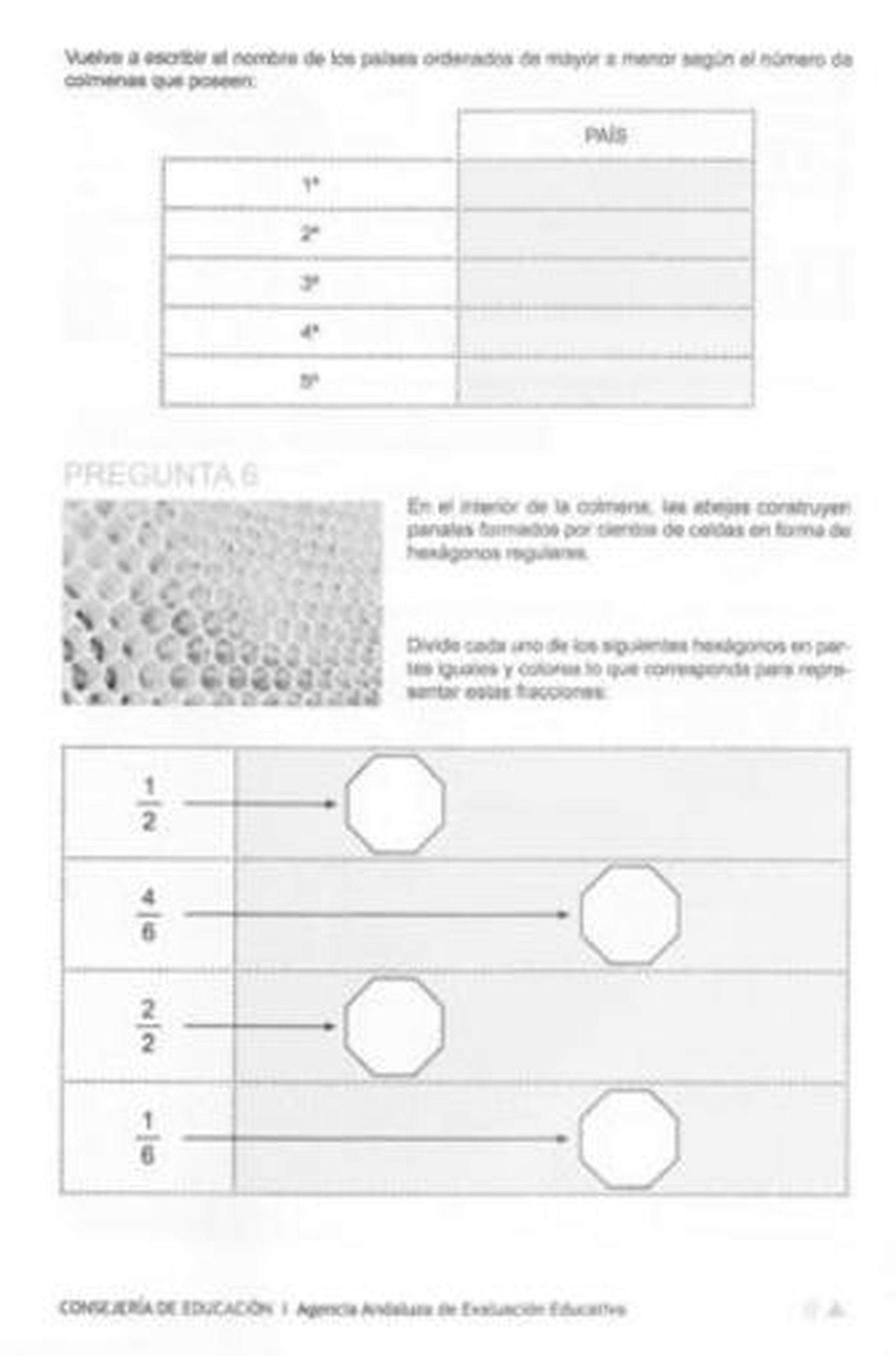 La primera prueba de diagnóstico se salda con incidencias en 81 centros