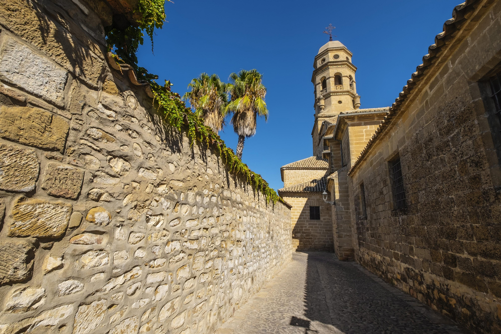 Los callejones aledaños a la Catedral de Baeza te transportarán a épocas pasadas.