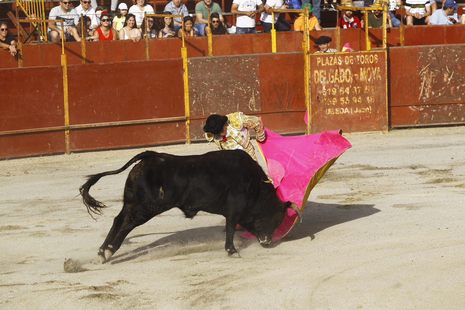 Imágenes de la corrida de toros en las Fiestas de Abrucena.