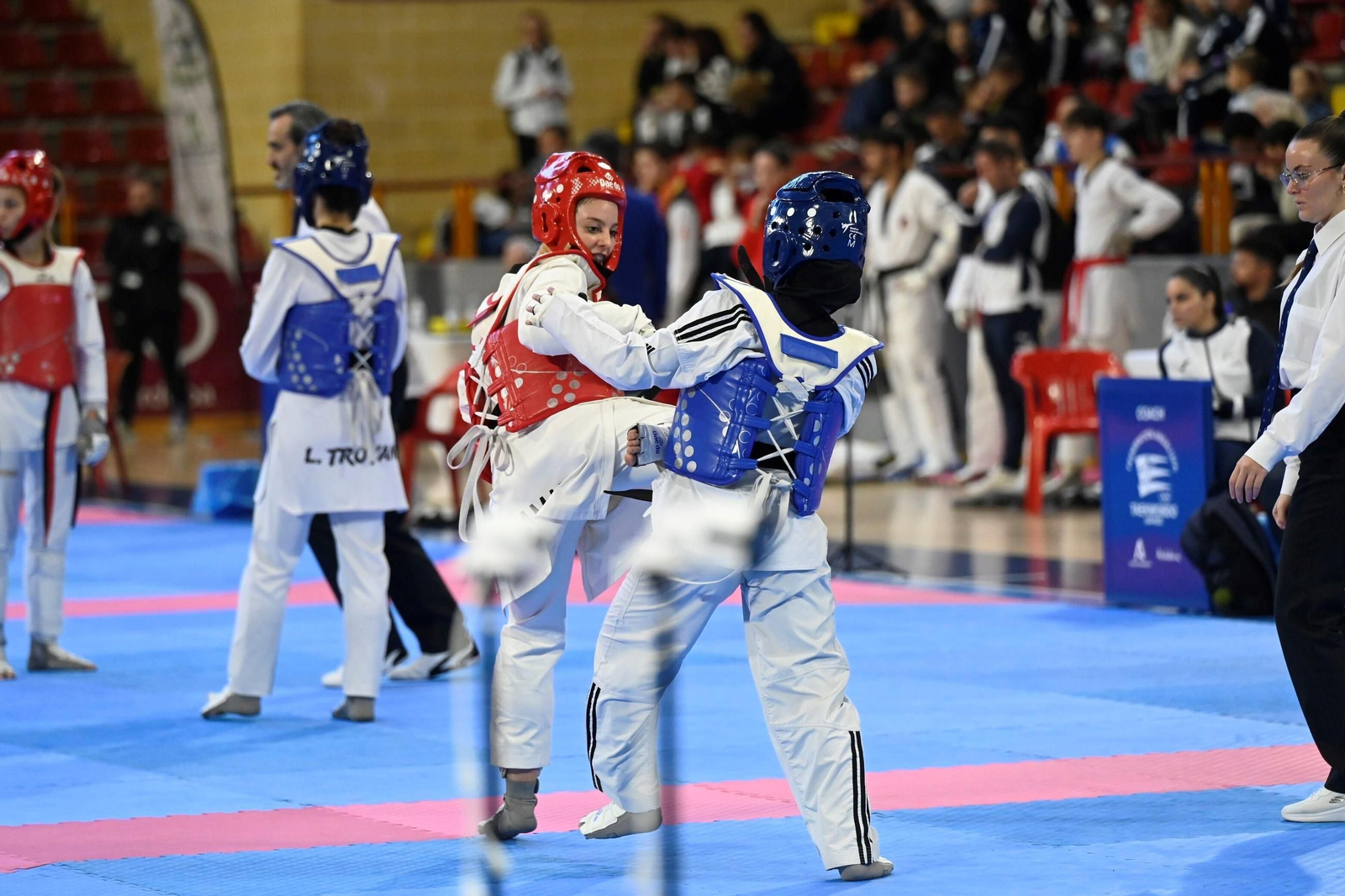 Las mejores fotos del Open Internacional de Andalucía de taekwondo en Córdoba