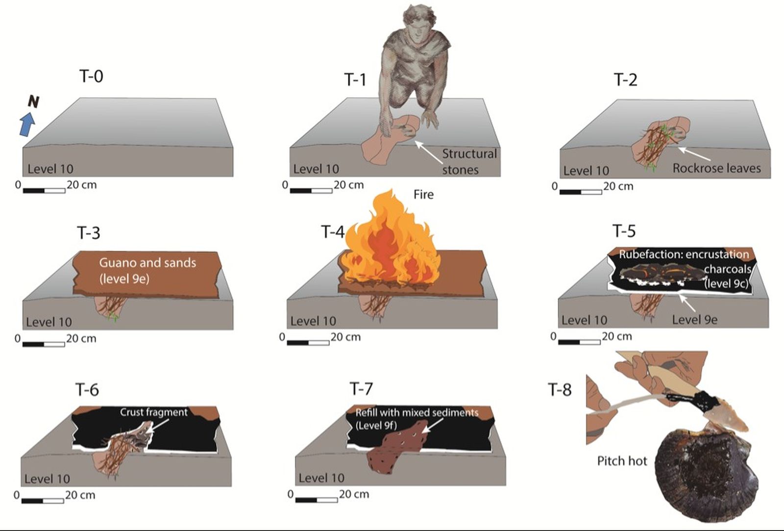 Recreación de la estructura