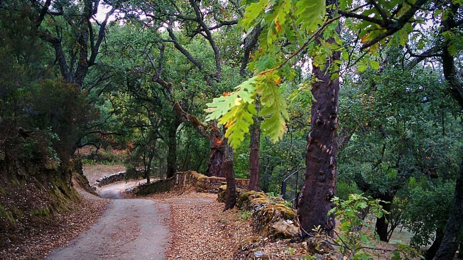 Sendero Fuenteheridos - Los Marines